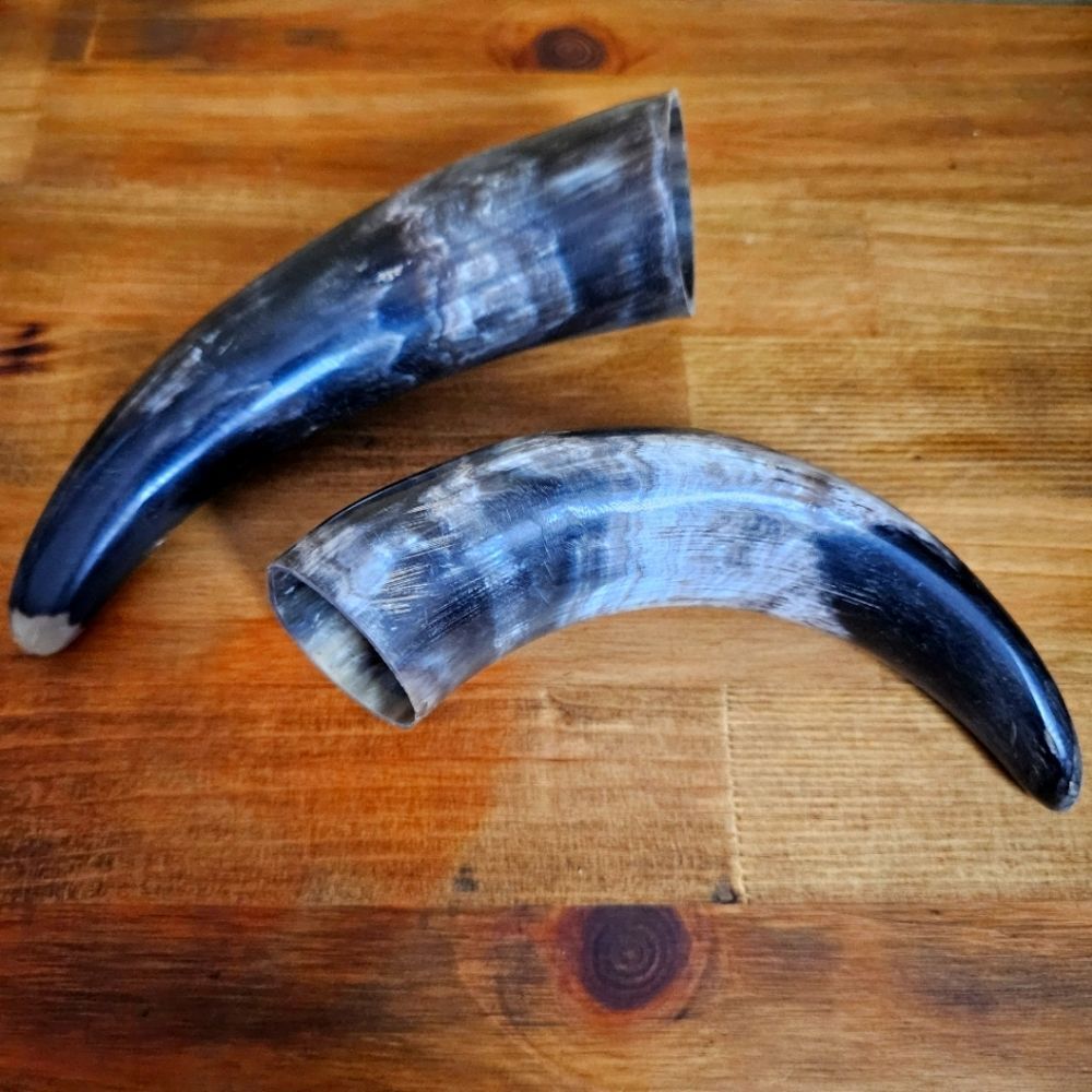 2 - River Water Buffalo Horn Set 5" & 7" Trophy Room Craft Projects